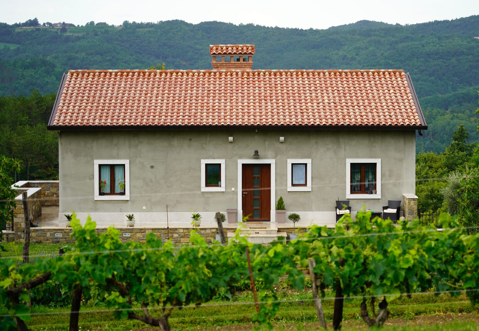 Steinhaus umgeben von Weinbergen und bewaldeten Hügeln im istrischen Hinterland