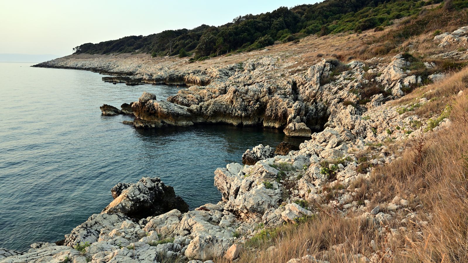 Zerklüftete Felsküste an der istrischen Adria mit klarem türkisblauem Wasser