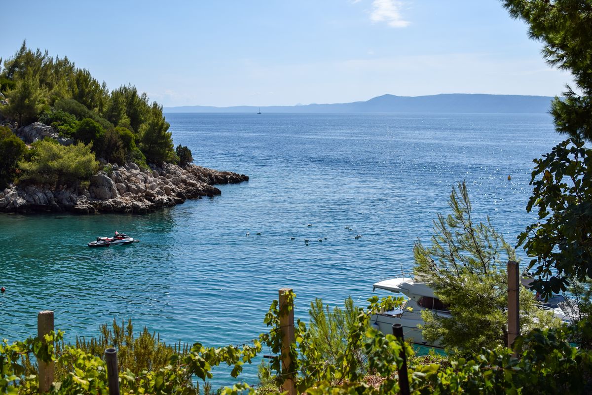 Sonnige Bucht an der kroatischen Adria mit Booten, Pinien und klarem blauem Wasser