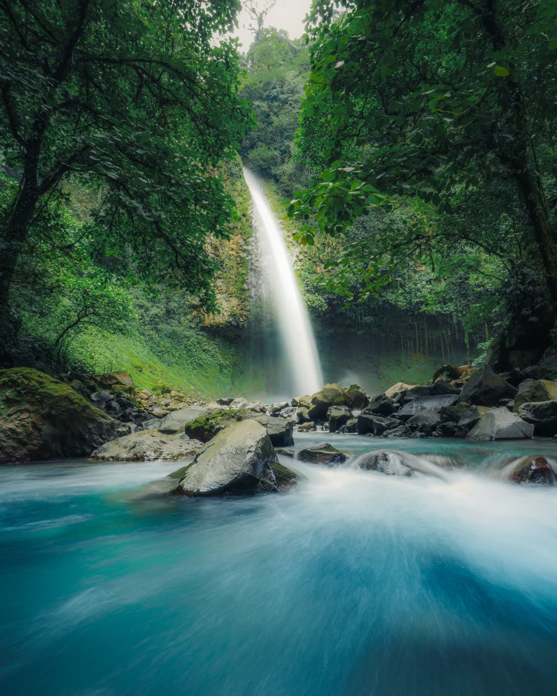 Wasserfall in dichtem Wald