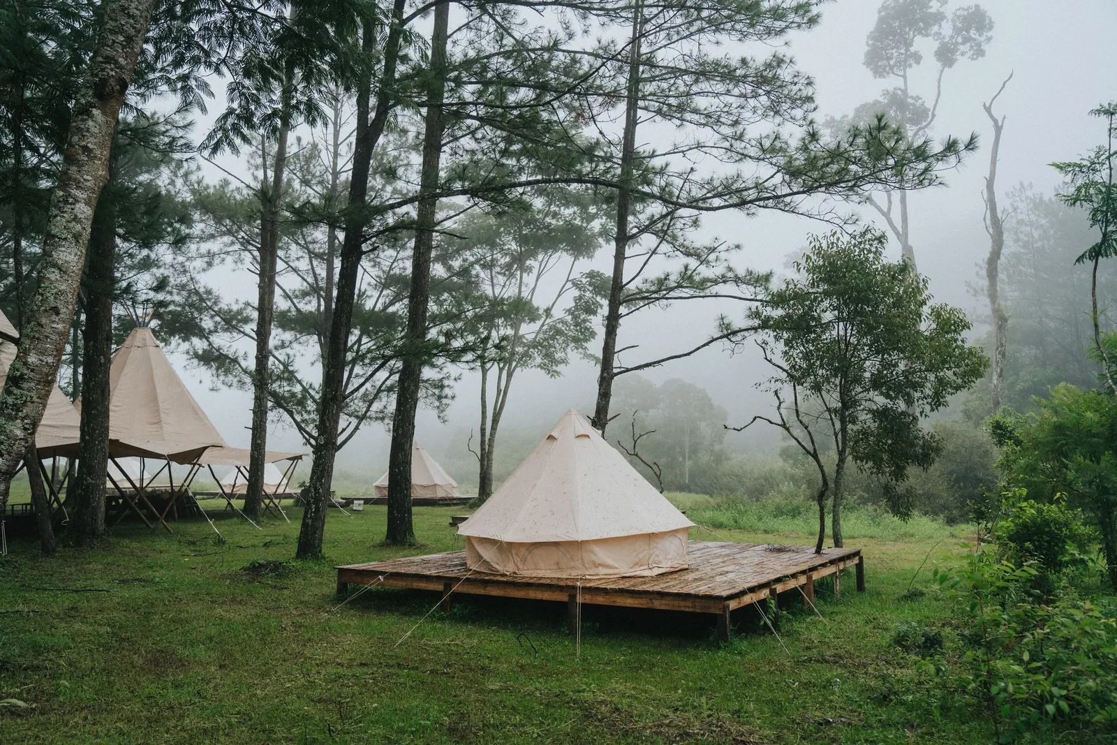 Beige Baumwollmischgewebe-Zelt im Wald bei bedecktem Himmel, Camping-Szenerie
