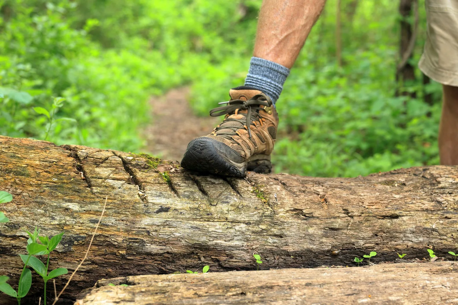 Wanderstiefel auf einem Waldweg
