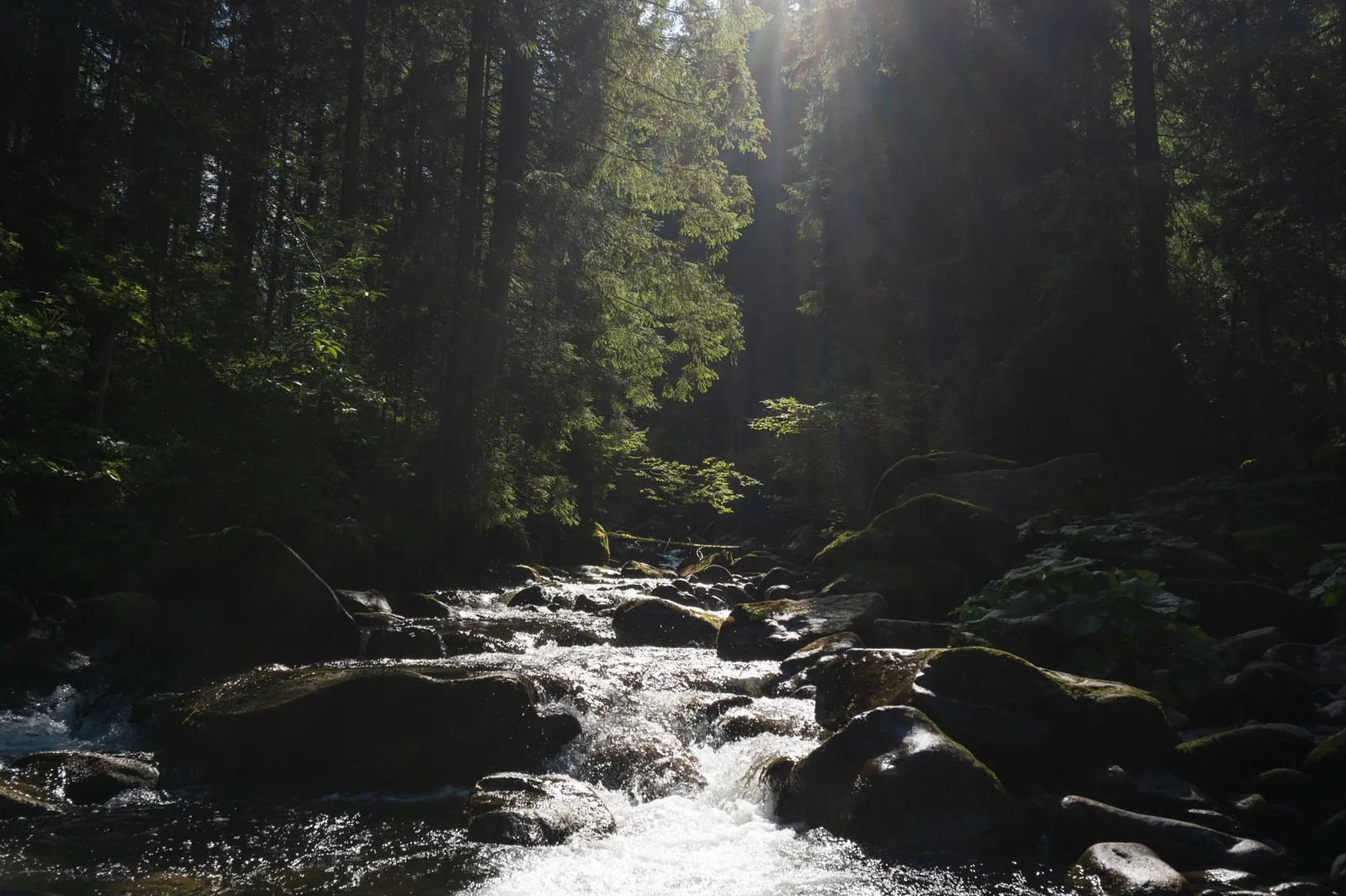 Person filtert Wasser aus einem Gebirgsbach mit einem tragbaren Strohhalmfilter
