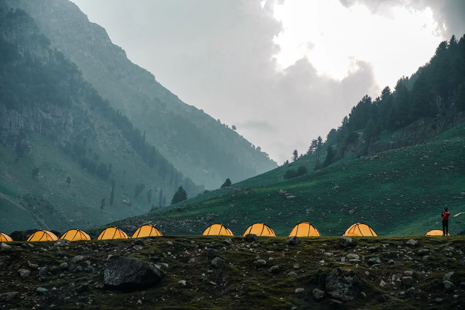 Grünes Tunnelzelt beim Camping in freier Natur aufgebaut