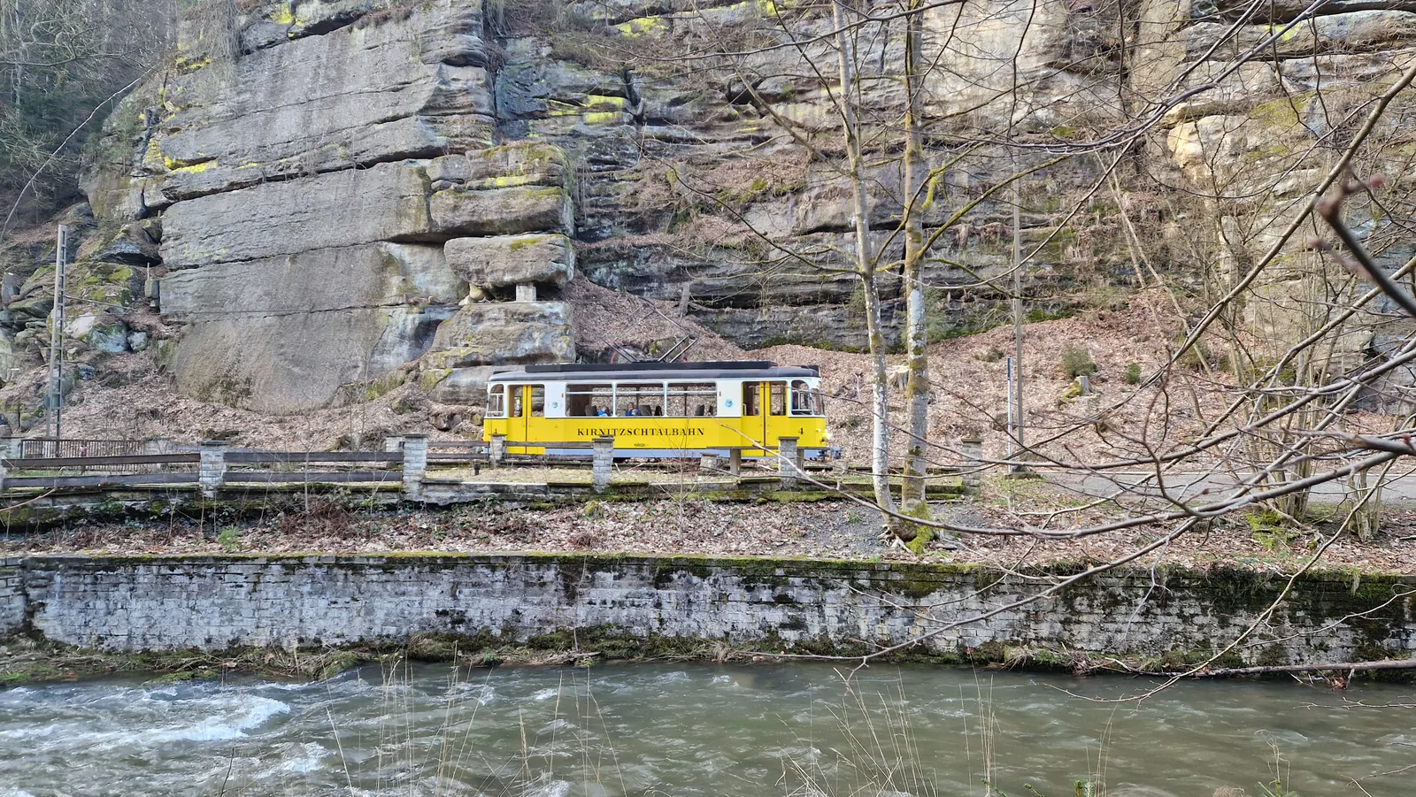 Historische gelbe Kirnitzschtalbahn fährt durch den Wald am Flussufer entlang, im Hintergrund Sandsteinfelsen