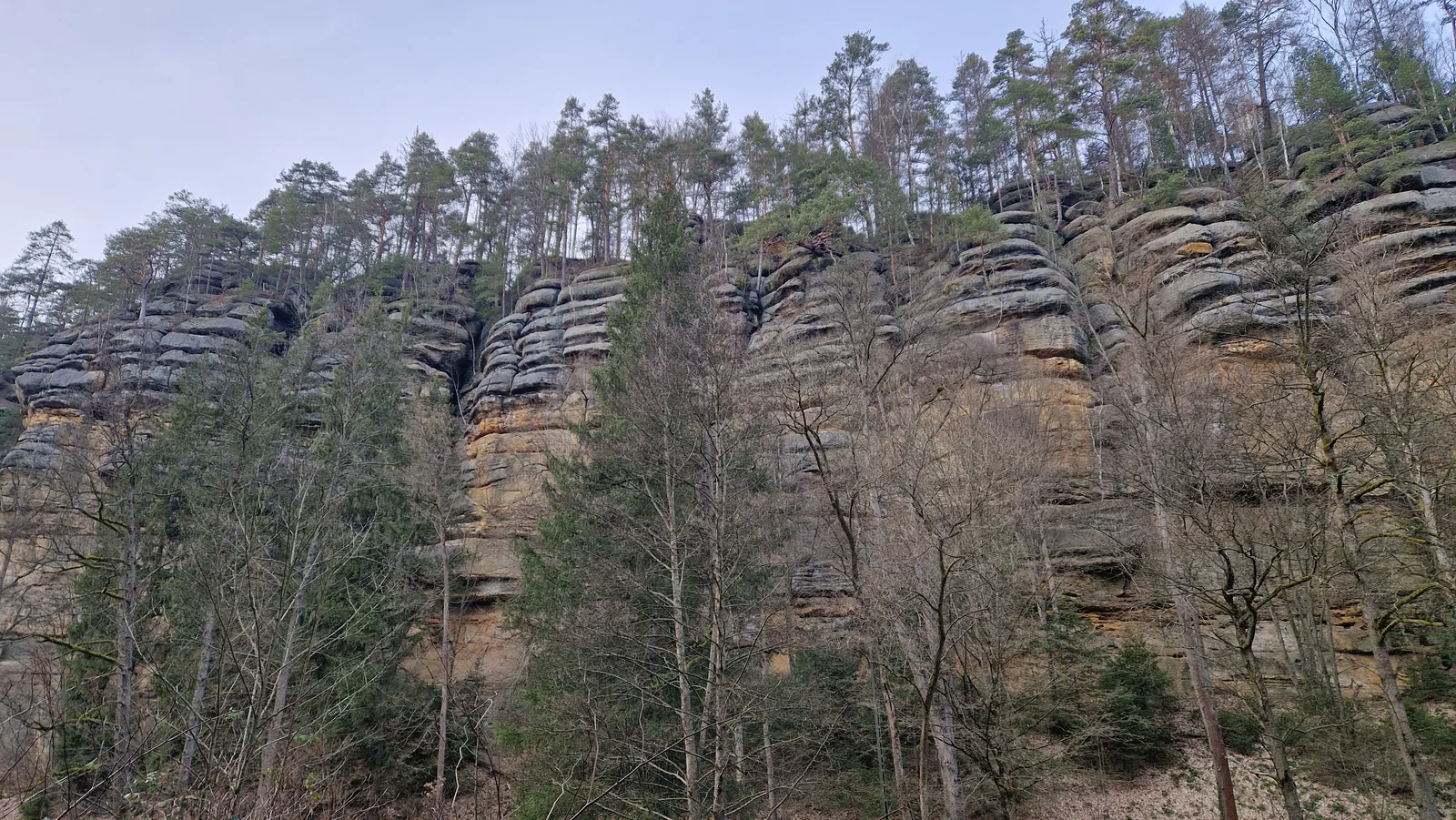 Sandsteinfelsen zwischen kahlen Bäumen im Wald, erste Vorboten der Felsformationen des Elbsandsteingebirges