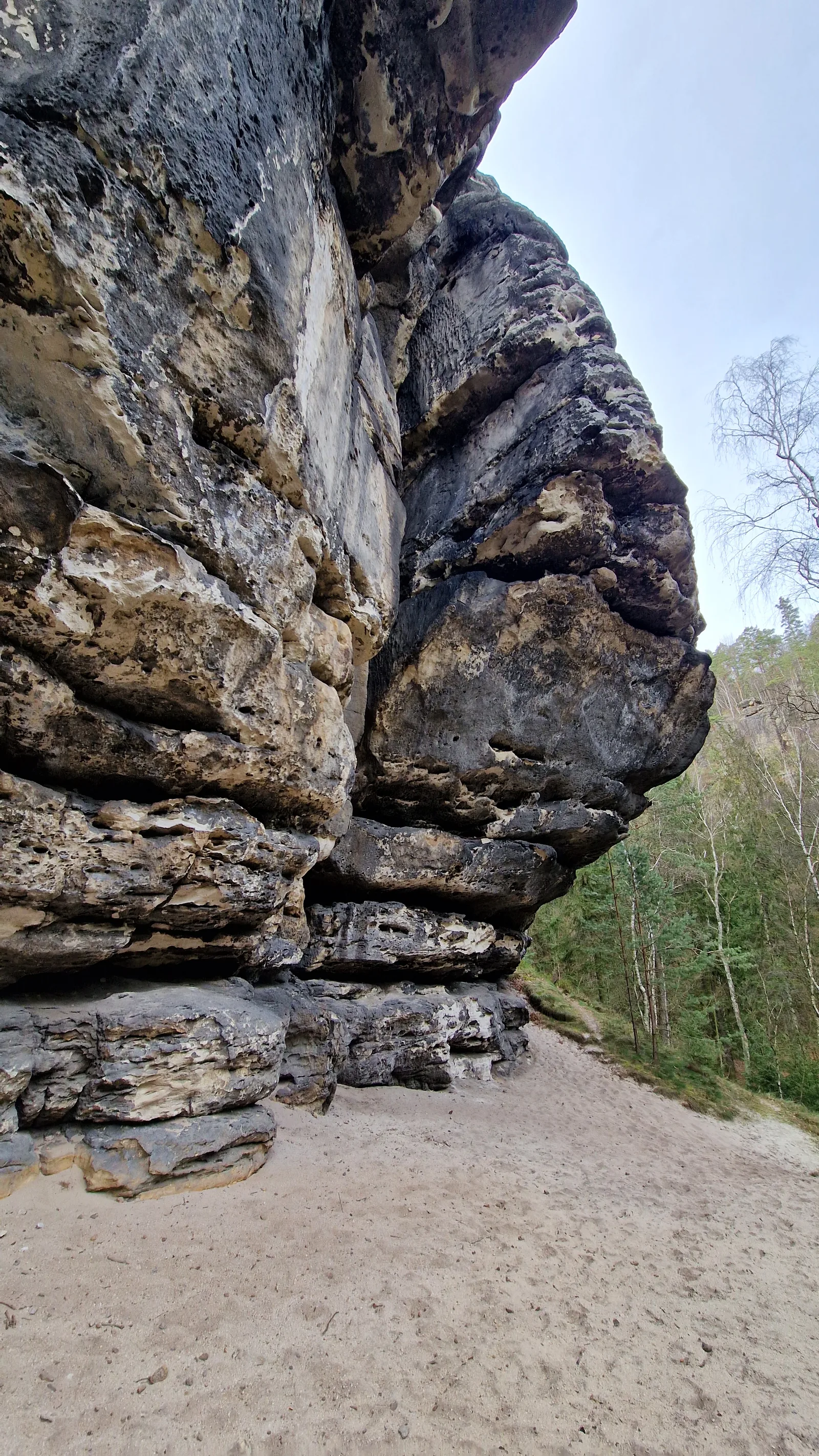 Enge, moosbewachsene Felsschlucht mit steilen Sandsteinwänden im Griesgrund