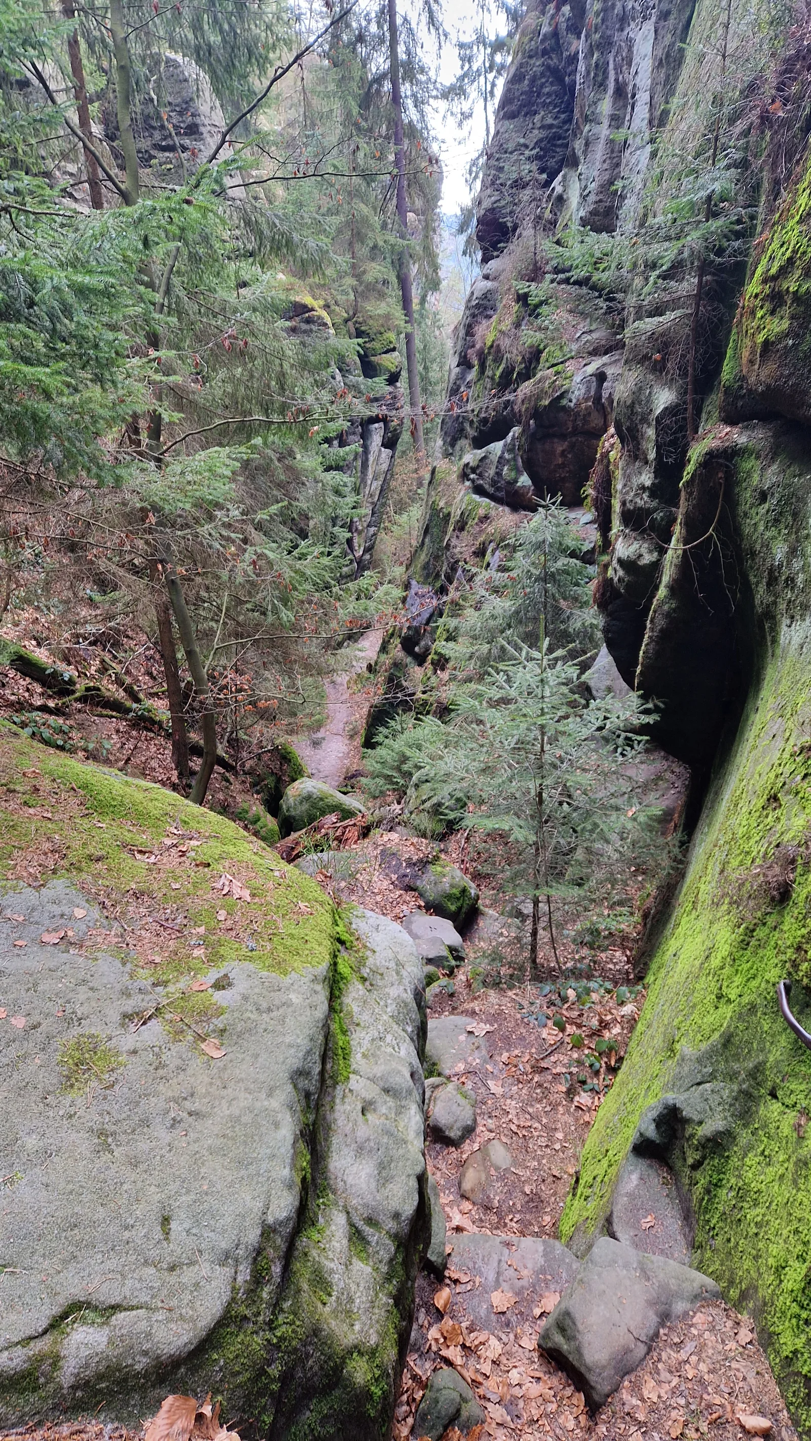 Blick durch die Felsschlucht des Griesgrund mit moosbewachsenen Steinstufen